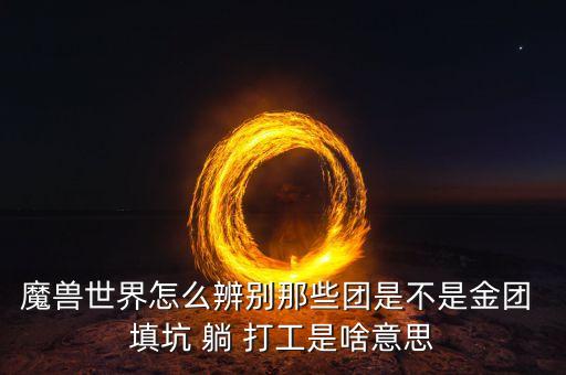 什么叫填坑團，什么叫填坑團求導游回答