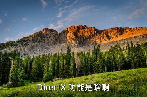 DirectX 功能是啥啊