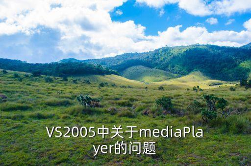 vsmedia是什么，VS2005中關(guān)于mediaPlayer的問(wèn)題