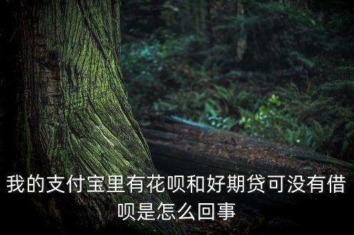 我的支付寶里有花唄和好期貸可沒(méi)有借唄是怎么回事