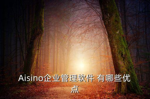 Aisino企業(yè)管理軟件 有哪些優(yōu)點