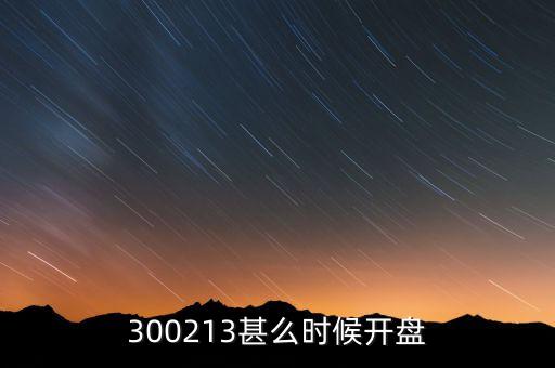 300213甚么時候開盤