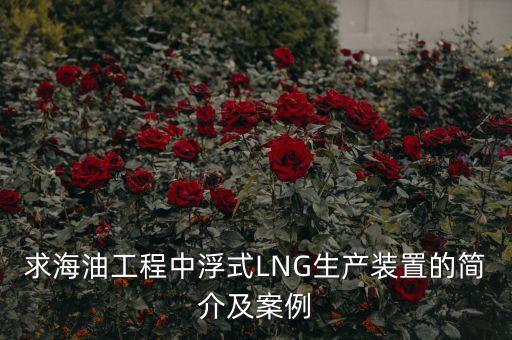 什么是浮式lng項目，什么是浮式LNG