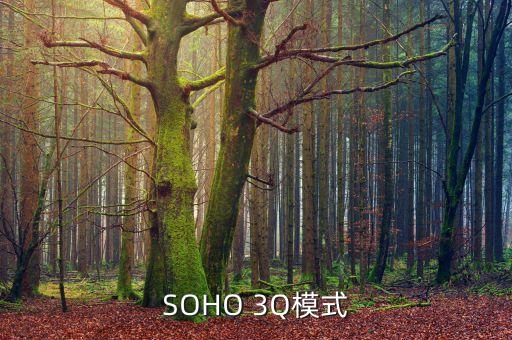 SOHO 3Q模式