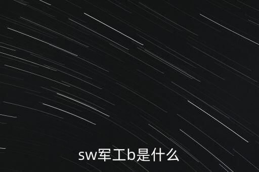 sw軍工b是什么