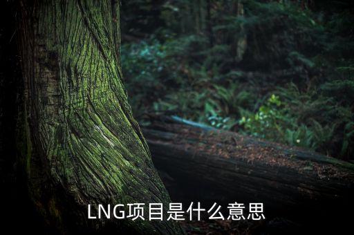 LNG項(xiàng)目是什么意思