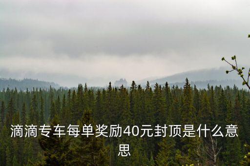 滴滴獎勵支付什么意思，滴滴專車每單獎勵40元封頂是什么意思