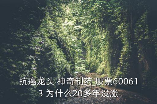 神奇制藥為什么23年不漲，貴州神奇藥業(yè)上市沒有