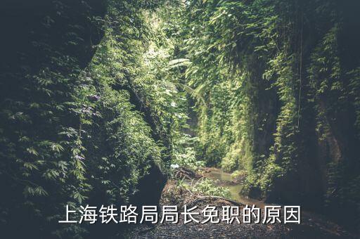 上海鐵路局局長免職的原因