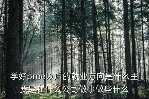 學(xué)好proe以后的就業(yè)方向是什么主要是在什么公司做事做些什么