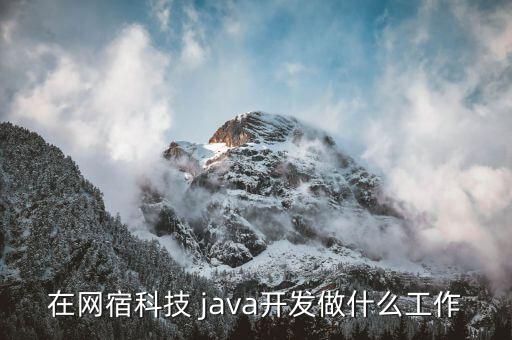 在網(wǎng)宿科技 java開發(fā)做什么工作