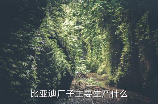 上海比亞迪廠主要生產(chǎn)什么，比亞迪廠子主要生產(chǎn)什么