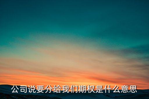 2期權意味著什么，公司說要分給我們期權是什么意思