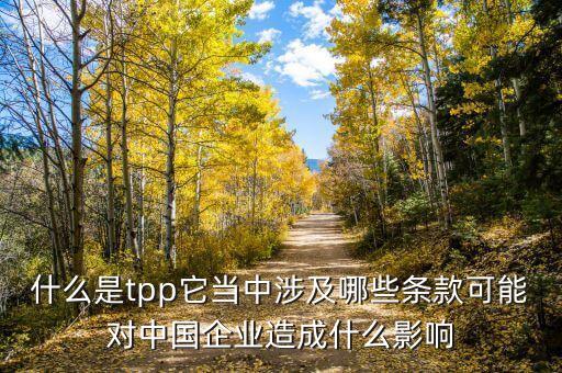 什么是tpp它當(dāng)中涉及哪些條款可能對中國企業(yè)造成什么影響