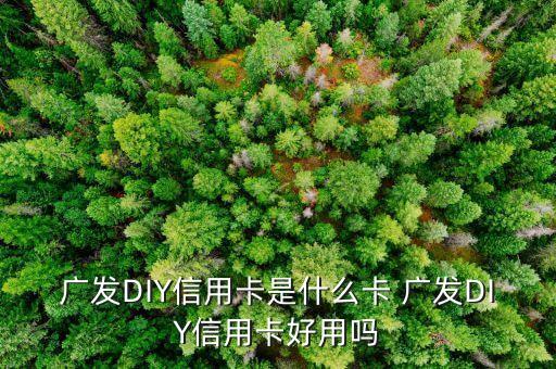 什么是diy信用卡，廣發(fā)DIY信用卡是什么卡 廣發(fā)DIY信用卡好用嗎