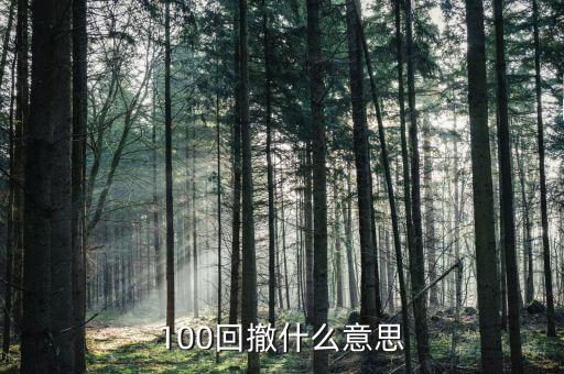 100回撤什么意思