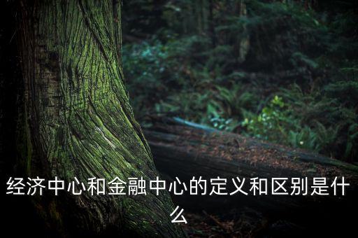 經(jīng)濟中心和金融中心的定義和區(qū)別是什么