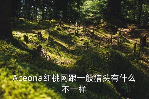 Aceona紅桃網(wǎng)跟一般獵頭有什么不一樣