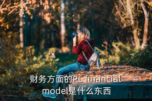 財務方面的PL financial model是什么東西