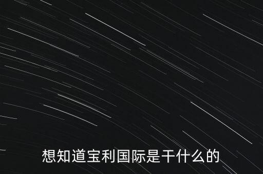 想知道寶利國際是干什么的