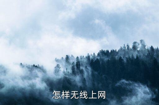 怎樣無線上網(wǎng)