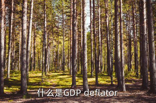 什么是沽空比率，什么是GDP deflator