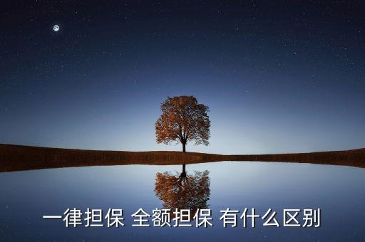 全額擔(dān)保指什么，一律擔(dān)保 全額擔(dān)保 有什么區(qū)別