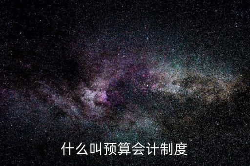 什么叫預算會計制度