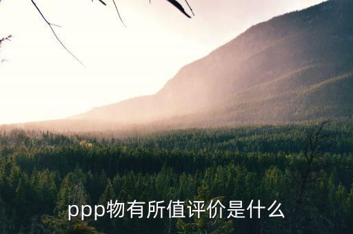 ppp物有所值評(píng)價(jià)是什么