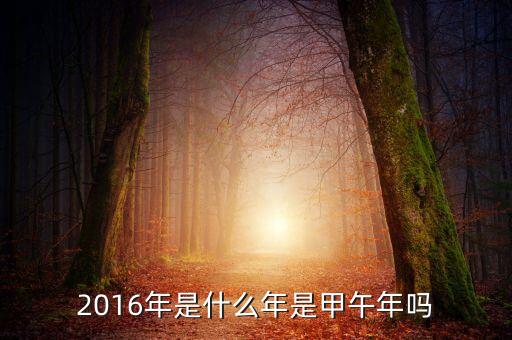 2016年是什么的開局之年，2016年是什么年是甲午年嗎