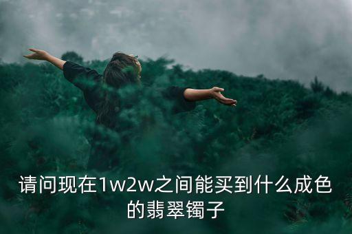 請問現(xiàn)在1w2w之間能買到什么成色的翡翠鐲子