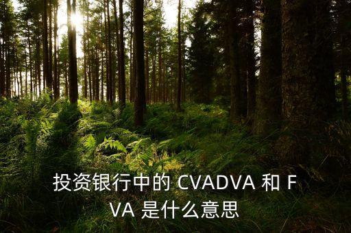 銀行里面dva是什么意思，開黑嗎 我玩亞索 我不坑 除非我卡