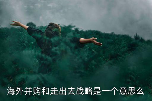 海外并購和走出去戰(zhàn)略是一個(gè)意思么