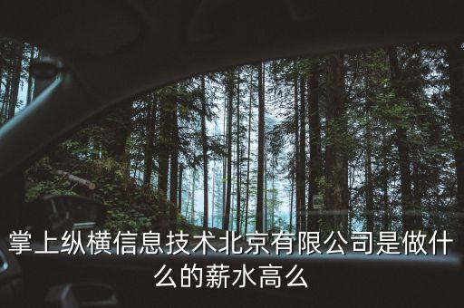 掌上縱橫信息技術(shù)北京有限公司是做什么的薪水高么