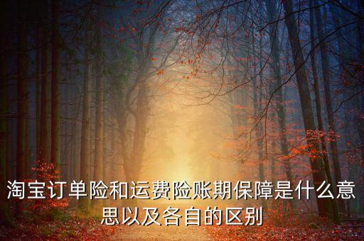 淘寶訂單險和運費險賬期保障是什么意思以及各自的區(qū)別