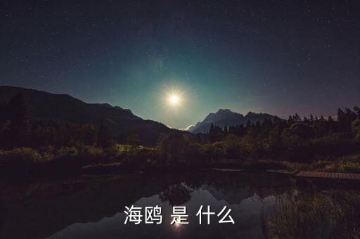 海鷗 是 什么