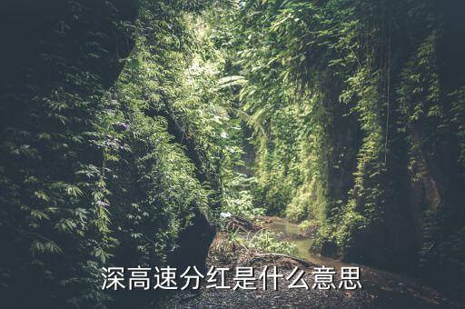 深高速分紅是什么意思