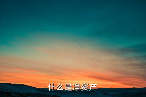 什么是凈資產(chǎn)