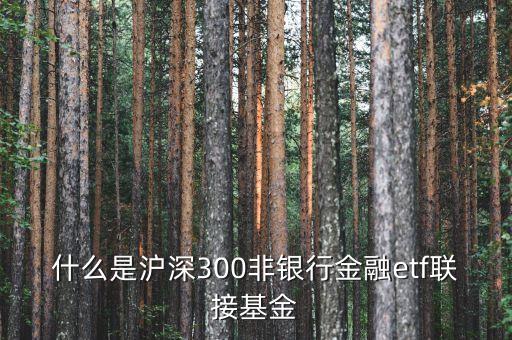 什么是滬深300非銀行金融etf聯(lián)接基金