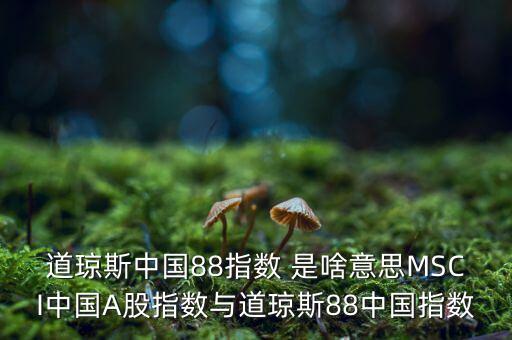 道瓊斯中國88指數(shù) 是啥意思MSCI中國A股指數(shù)與道瓊斯88中國指數(shù)