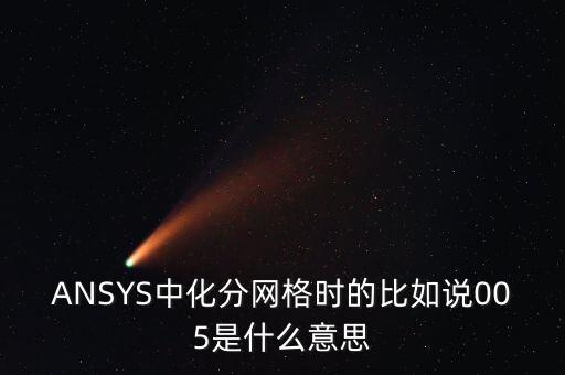 ANSYS中化分網(wǎng)格時(shí)的比如說005是什么意思