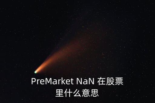 PreMarket NaN 在股票里什么意思