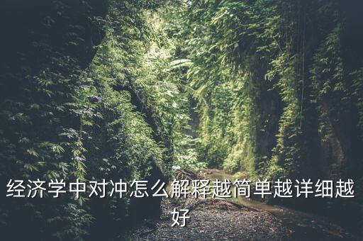 為什么要做對沖，為什么會計們會想到要把往來帳對沖