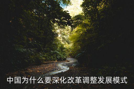 中國為什么要深化改革調整發(fā)展模式