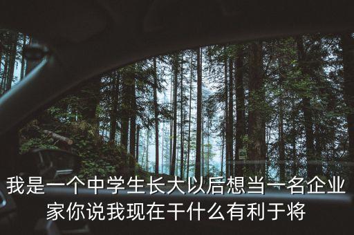 我是一個中學(xué)生長大以后想當(dāng)一名企業(yè)家你說我現(xiàn)在干什么有利于將