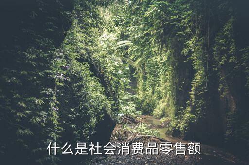 什么是社會(huì)消費(fèi)品零售額