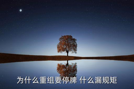 為什么湘潭電化重組暫停，湘潭電化股票停牌是什么意思