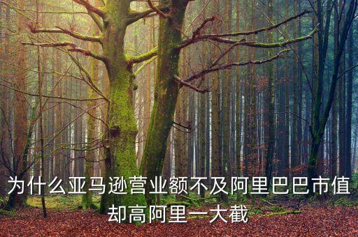 為什么亞馬遜營業(yè)額不及阿里巴巴市值卻高阿里一大截