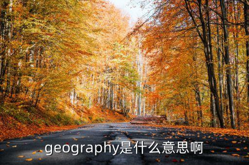 geography是什么意思啊