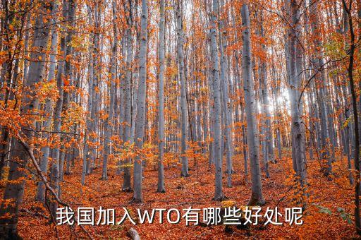 wto有什么好處，中國(guó)加入世界貿(mào)易組織能帶來(lái)什么好處